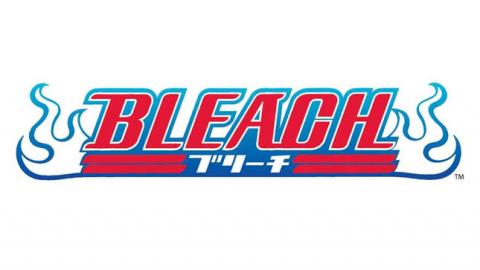 LOGO BLEACH